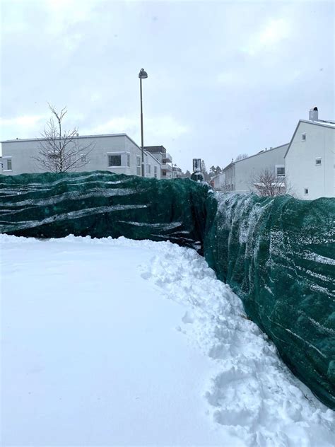 Vinterväv växter